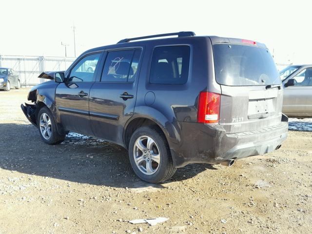 5FNYF4H63DB031087 - 2013 HONDA PILOT EXL BROWN photo 3