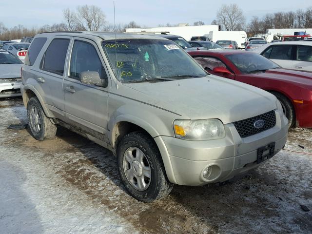 1FMYU04155KA46599 - 2005 FORD ESCAPE LIM BEIGE photo 1