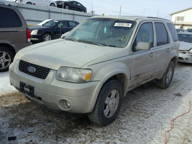 1FMYU04155KA46599 - 2005 FORD ESCAPE LIM BEIGE photo 2