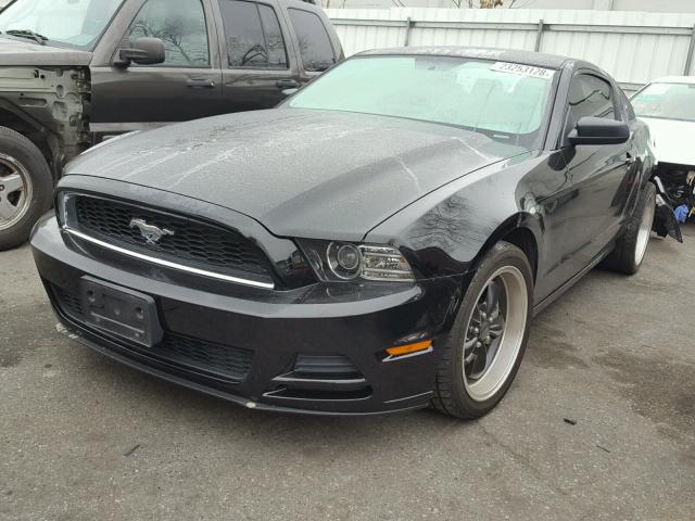 1ZVBP8AM8D5200828 - 2013 FORD MUSTANG BLACK photo 2