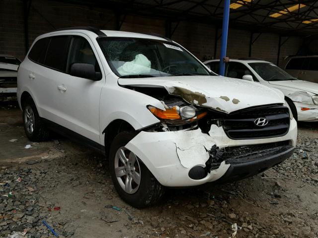 5NMSG13D89H304649 - 2009 HYUNDAI SANTA FE G WHITE photo 1