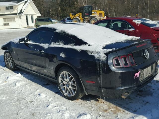 1ZVBP8AM6D5240843 - 2013 FORD MUSTANG BLACK photo 3