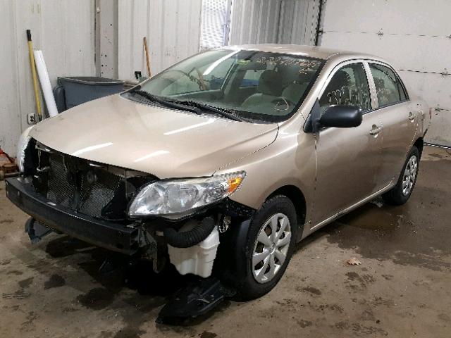 1NXBU40E79Z075652 - 2009 TOYOTA COROLLA BA GOLD photo 2