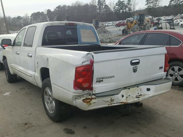 1D7HE58N75S281104 - 2005 DODGE DAKOTA QUA WHITE photo 3