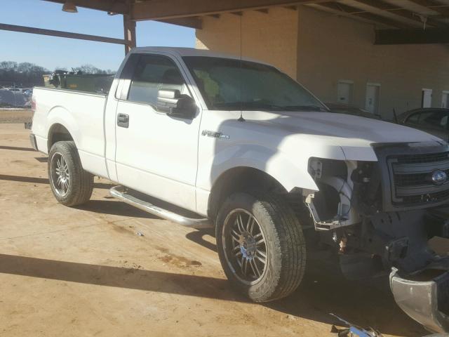 1FTMF1CM8DFD11814 - 2013 FORD F150 WHITE photo 1