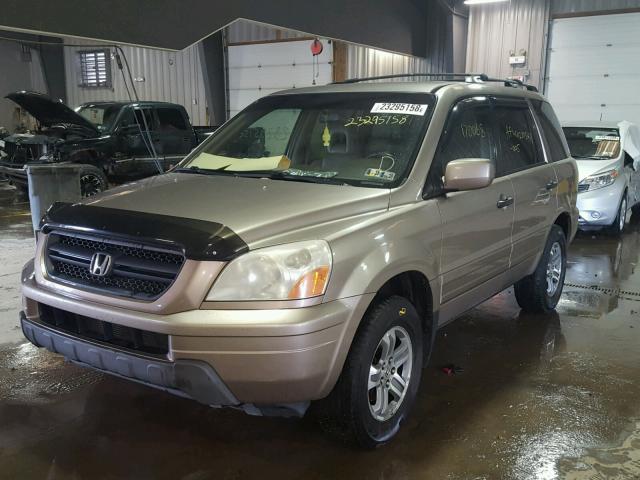 2HKYF18694H554694 - 2004 HONDA PILOT EXL GOLD photo 2