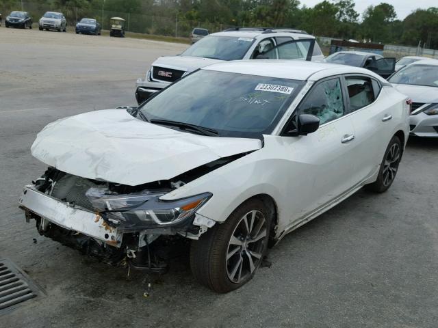 1N4AA6AP0HC439506 - 2017 NISSAN MAXIMA 3.5 WHITE photo 2