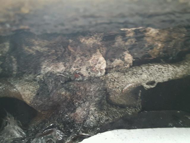 5LMFU285X5LJ22647 - 2005 LINCOLN NAVIGATOR SILVER photo 8