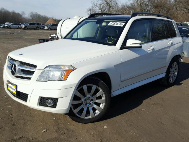 WDCGG8HB2AF416686 - 2010 MERCEDES-BENZ GLK 350 4M WHITE photo 2