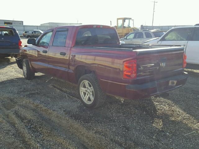 1D7CE3GP9AS130728 - 2010 DODGE DAKOTA SXT BURGUNDY photo 3