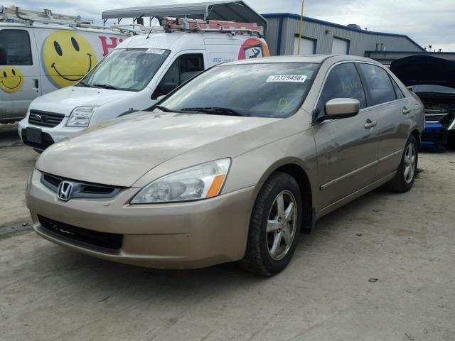 JHMCM56884C011620 - 2004 HONDA ACCORD EX GOLD photo 2