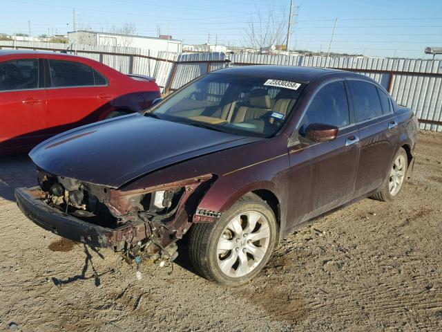 5KBCP3F82AB009438 - 2010 HONDA ACCORD EXL MAROON photo 2