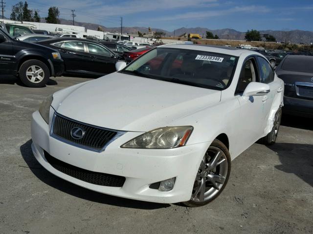 JTHBK262992086075 - 2009 LEXUS IS 250 WHITE photo 2