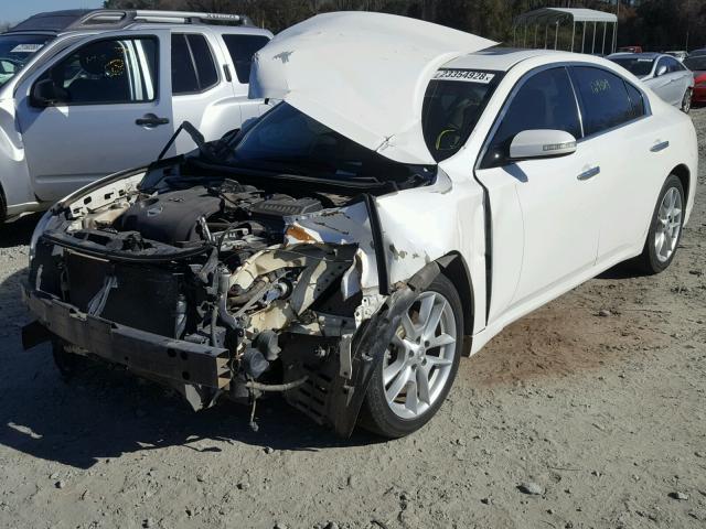 1N4AA5AP9AC829231 - 2010 NISSAN MAXIMA S WHITE photo 2