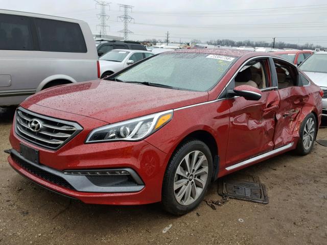 5NPE34AF9FH251263 - 2015 HYUNDAI SONATA SPO MAROON photo 2