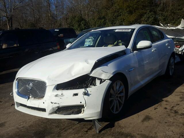 SAJWA0FB2CLS29851 - 2012 JAGUAR XF WHITE photo 2