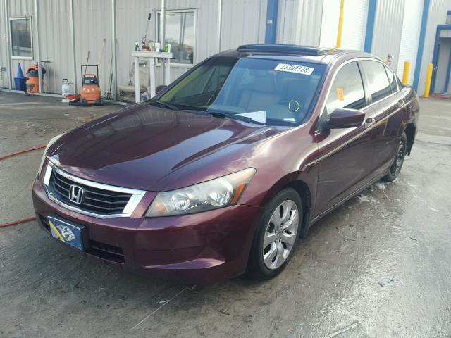 JHMCP26888C001200 - 2008 HONDA ACCORD EXL MAROON photo 2