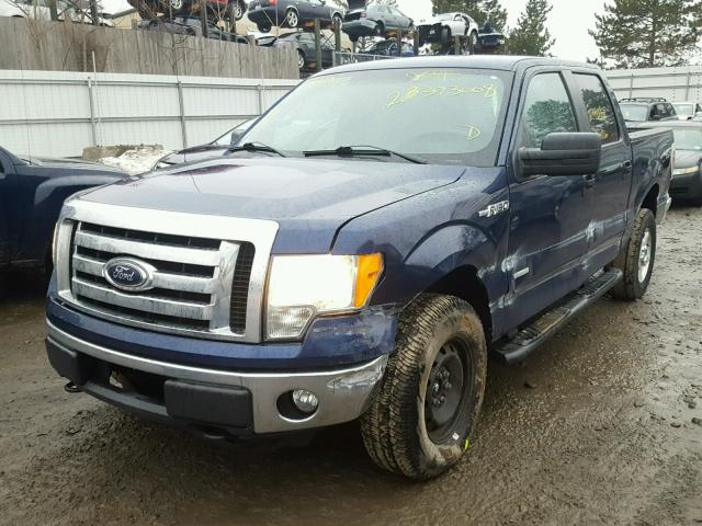 1FTFW1ET5CFA89132 - 2012 FORD F150 SUPER BLUE photo 2