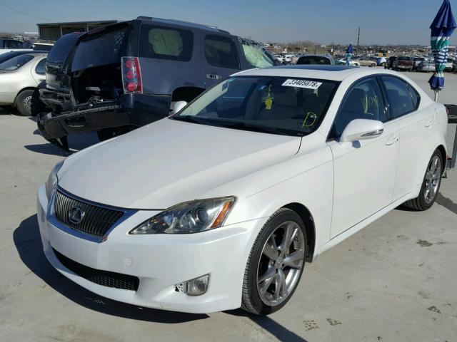 JTHBF5C24A5115723 - 2010 LEXUS IS 250 WHITE photo 2