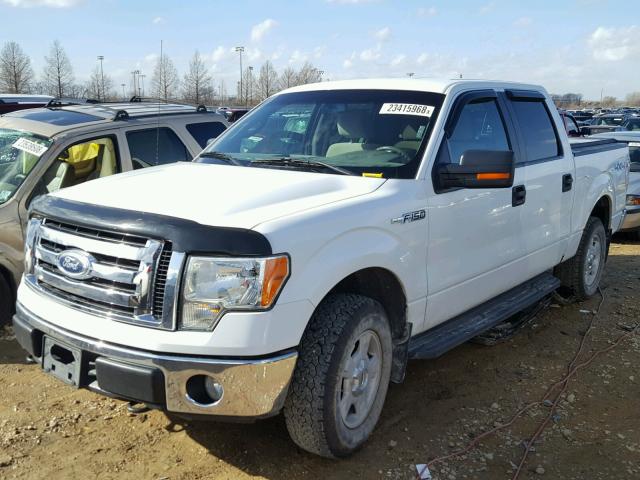 1FTFW1EV1AKE11108 - 2010 FORD F150 SUPER WHITE photo 2