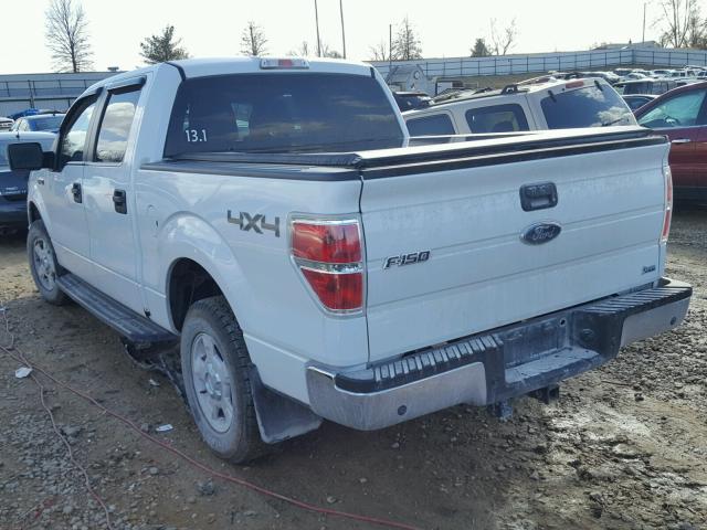 1FTFW1EV1AKE11108 - 2010 FORD F150 SUPER WHITE photo 3