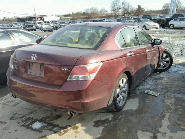 1HGCP36868A055597 - 2008 HONDA ACCORD EXL BURGUNDY photo 4