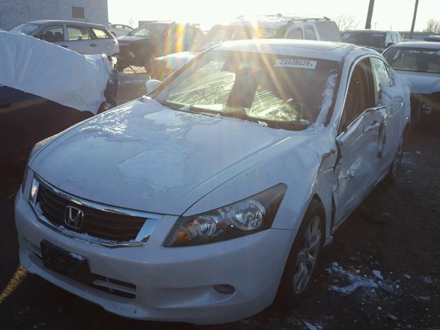 5KBCP3F7XAB009985 - 2010 HONDA ACCORD EX WHITE photo 2