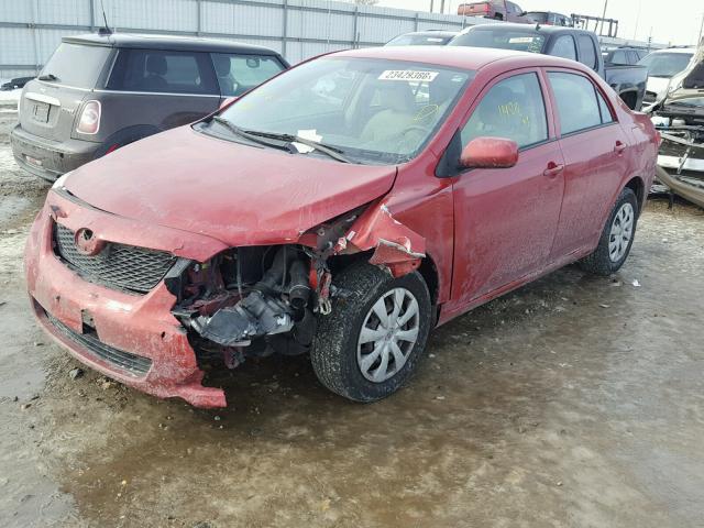 1NXBU4EE8AZ226625 - 2010 TOYOTA COROLLA BA RED photo 2