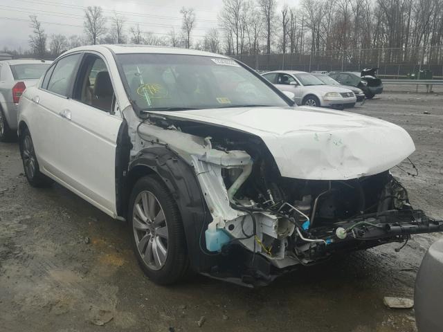 1HGCP3F86CA042485 - 2012 HONDA ACCORD EXL WHITE photo 1