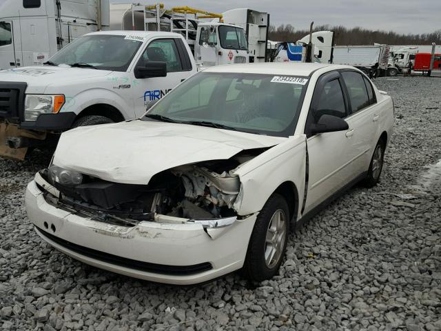 1G1ZT54884F190685 - 2004 CHEVROLET MALIBU LS WHITE photo 2