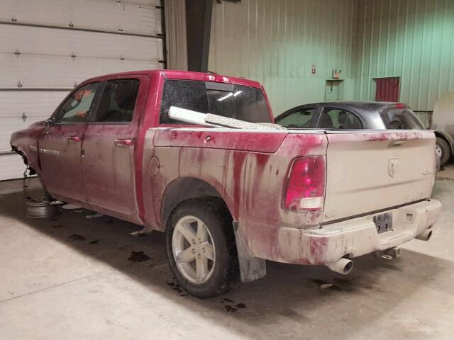 1C6RD7MT6CS135248 - 2012 DODGE RAM 1500 S RED photo 3