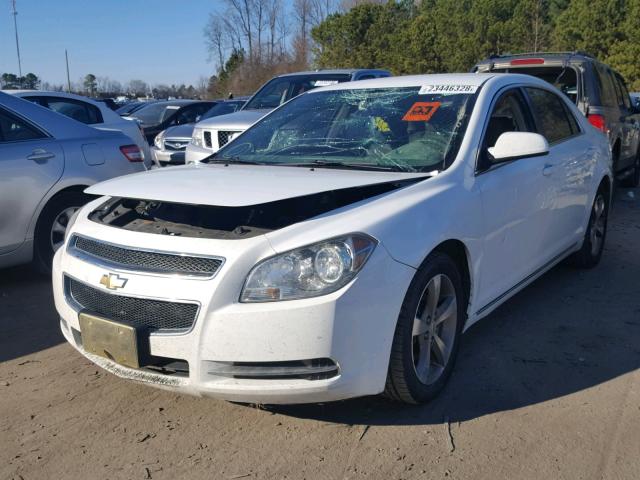 1G1ZC5EU9BF247663 - 2011 CHEVROLET MALIBU 1LT WHITE photo 2