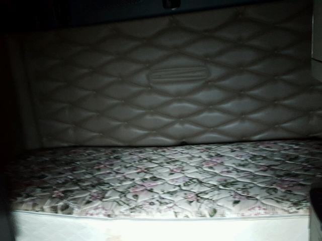 1FUJGLBG59LAM4093 - 2009 FREIGHTLINER CASCADIA 1 蓝色 照片 6