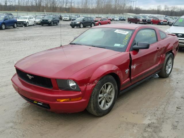 1ZVHT80N095118096 - 2009 FORD MUSTANG RED photo 2