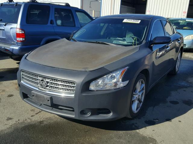 1N4AA51EX9C821388 - 2009 NISSAN MAXIMA S BLUE photo 2