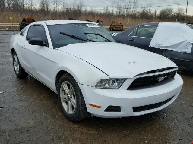 1ZVBP8AM6E5239676 - 2014 FORD MUSTANG WHITE photo 1