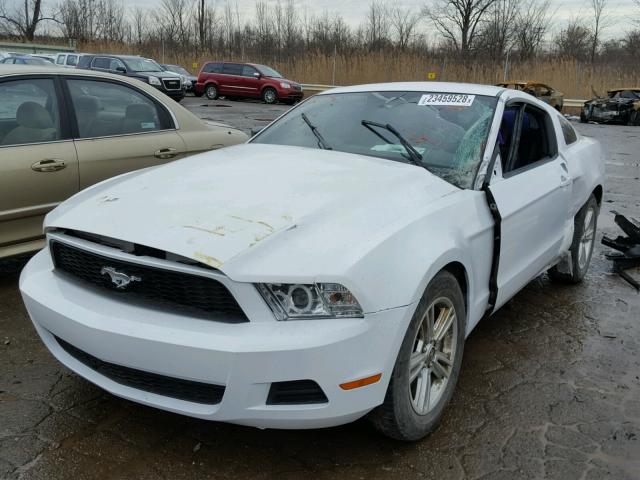 1ZVBP8AM6E5239676 - 2014 FORD MUSTANG WHITE photo 2