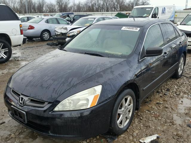 1HGCM66523A098231 - 2003 HONDA ACCORD EX BLACK photo 2