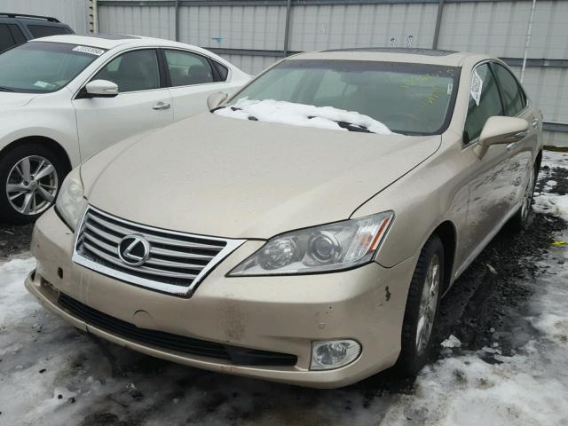 JTHBK1EG3A2395732 - 2010 LEXUS ES 350 TAN photo 2