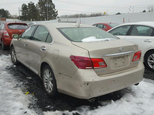 JTHBK1EG3A2395732 - 2010 LEXUS ES 350 TAN photo 3