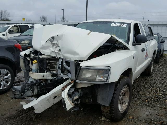 1D3HW32P99S771532 - 2009 DODGE DAKOTA SXT WHITE photo 2