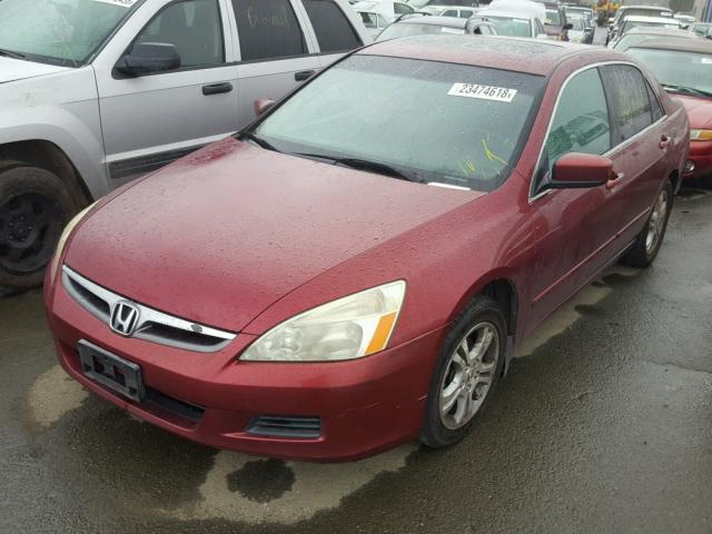 1HGCM56706A099815 - 2006 HONDA ACCORD EX BURGUNDY photo 2