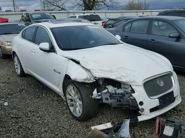 SAJWA0ES6DPS65344 - 2013 JAGUAR XF WHITE photo 1