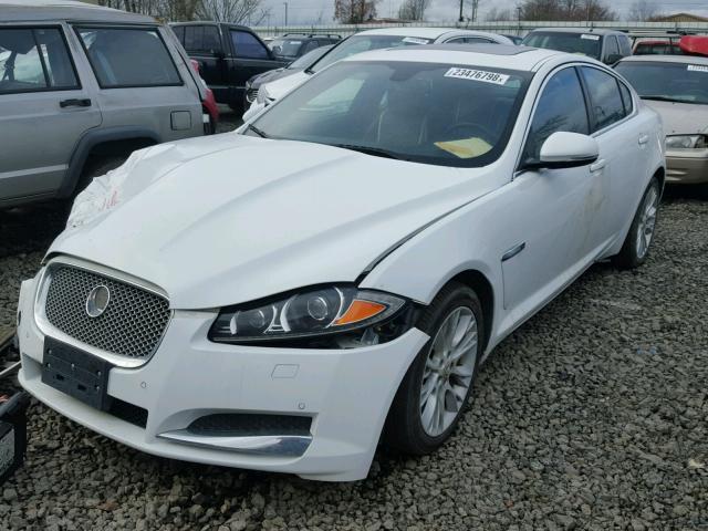 SAJWA0ES6DPS65344 - 2013 JAGUAR XF WHITE photo 2