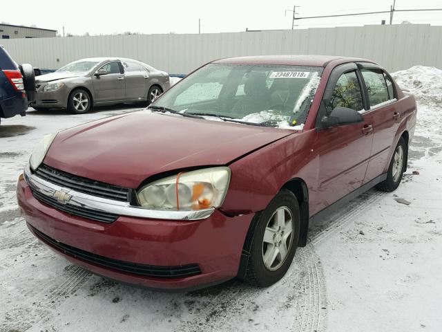 1G1ZT54865F254563 - 2005 CHEVROLET MALIBU LS MAROON photo 2