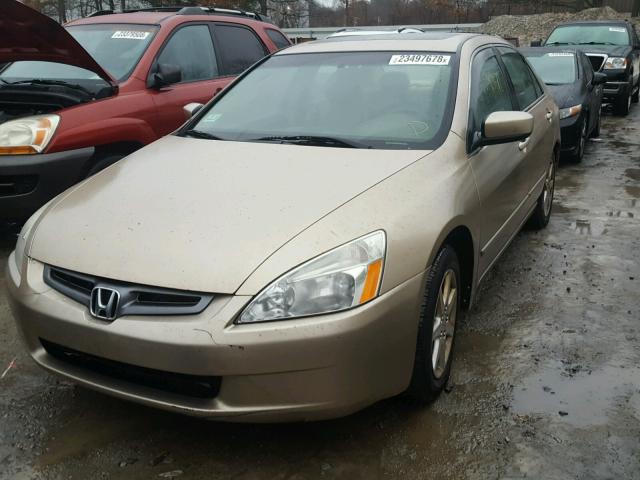 1HGCM66504A070638 - 2004 HONDA ACCORD EX TAN photo 2