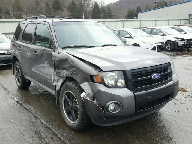 1FMCU9DG8BKC36766 - 2011 FORD ESCAPE XLT GRAY photo 1