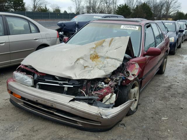 1HGCB7677NA171156 - 1992 HONDA ACCORD EX MAROON photo 2