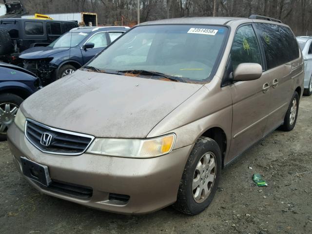 5FNRL18963B005216 - 2003 HONDA ODYSSEY EX GOLD photo 2