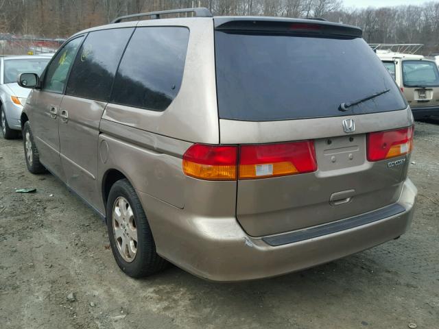 5FNRL18963B005216 - 2003 HONDA ODYSSEY EX GOLD photo 3